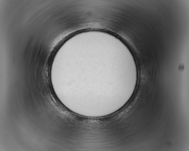 X0000115021070200911231245