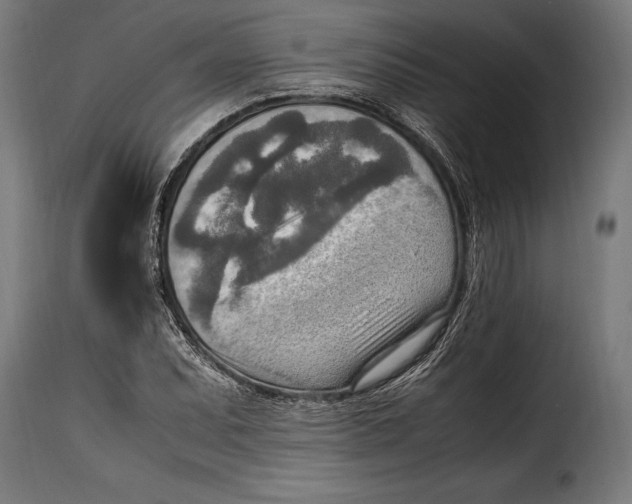 X0000115021071200911231245