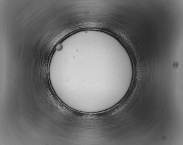 X0000115021073200911231245