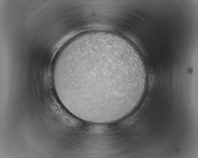 X0000115021074200911231245