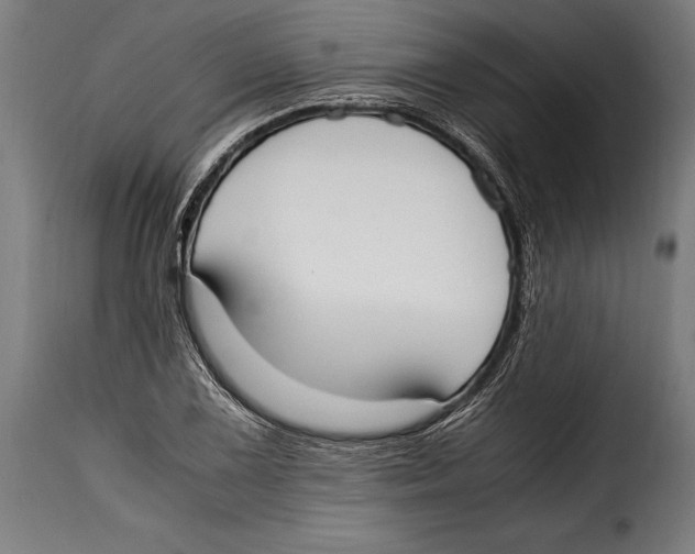 X0000115021075200911231245