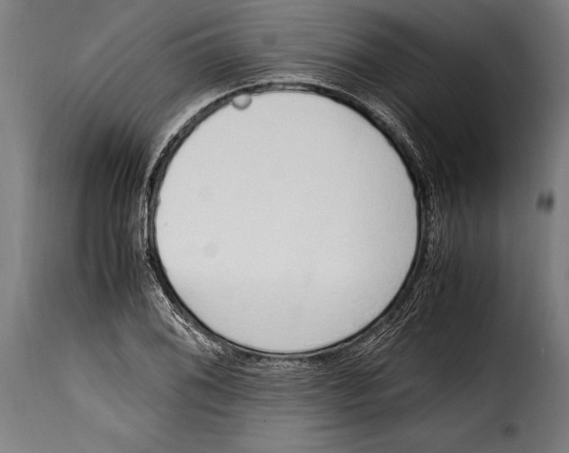 X0000115021076200911231245