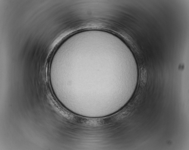 X0000115021078200911231245