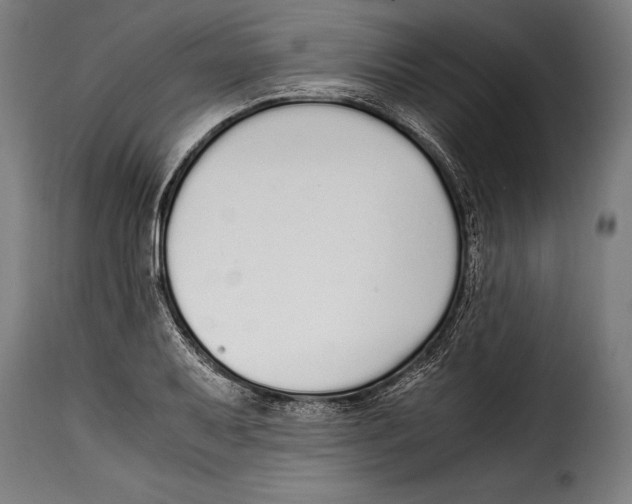 X0000115021079200911231245