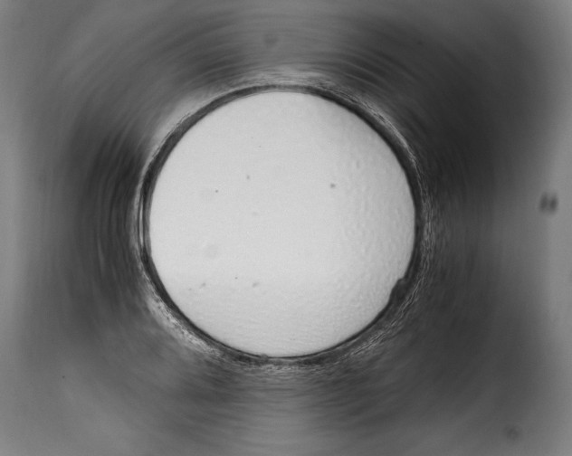 X0000115021080200911231245