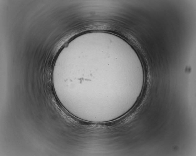 X0000115021081200911231245