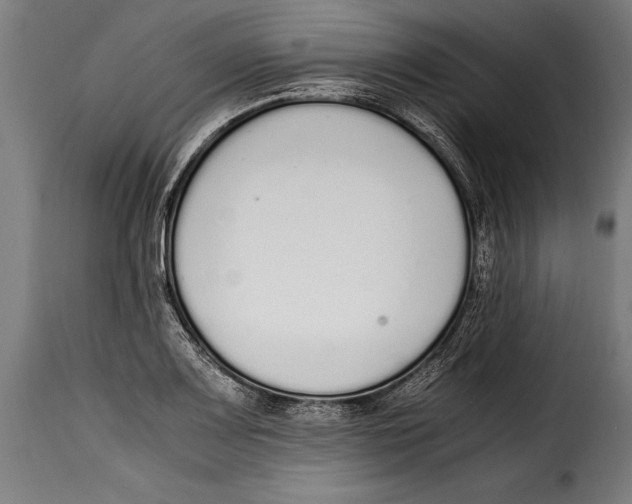 X0000115021083200911231245