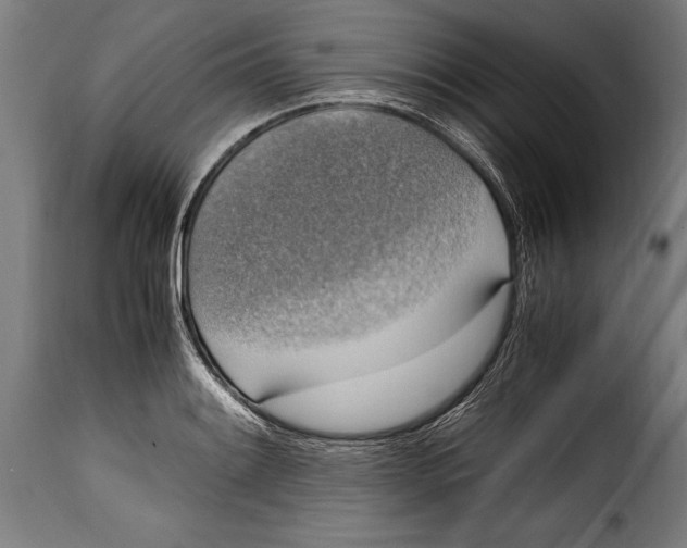 X0000115021084200911231245