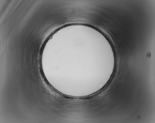 X0000115021085200911231245