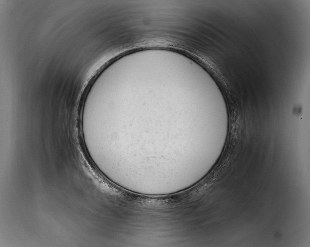 X0000115021086200911231245