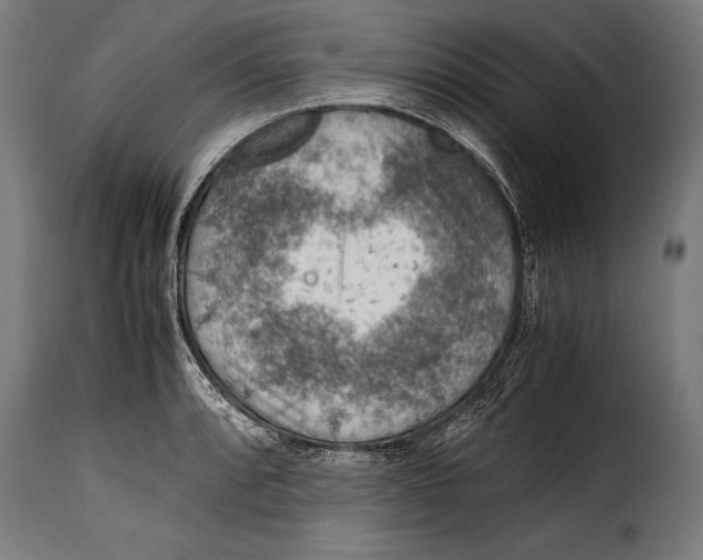 X0000115021088200911231245