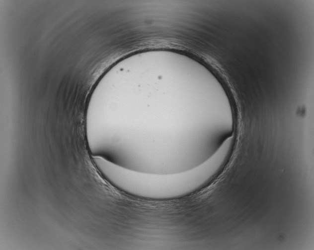 X0000115021089200911231245