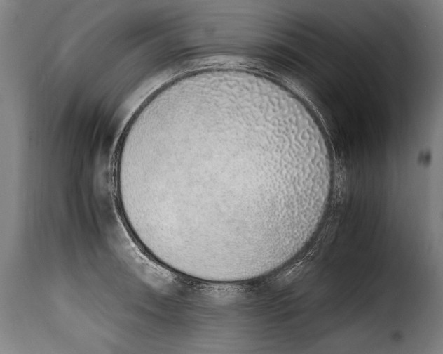 X0000115021090200911231245