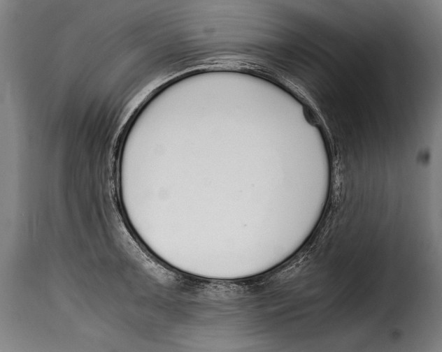 X0000115021091200911231245