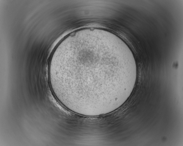 X0000115021092200911231245