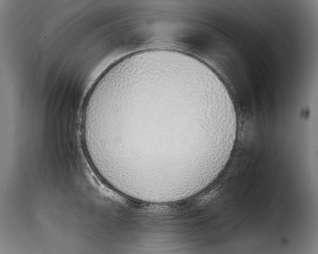 X0000115021094200911231244