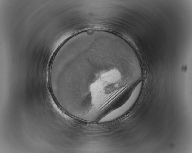 X0000115021095200911231244