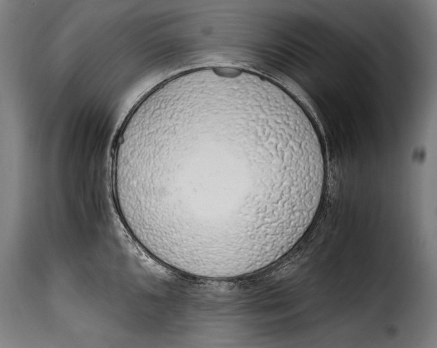 X0000115021096200911231244