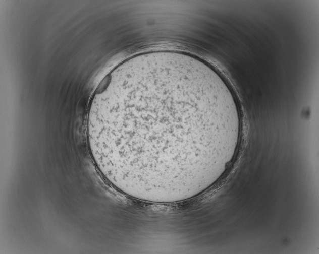 X0000115021097200911231244