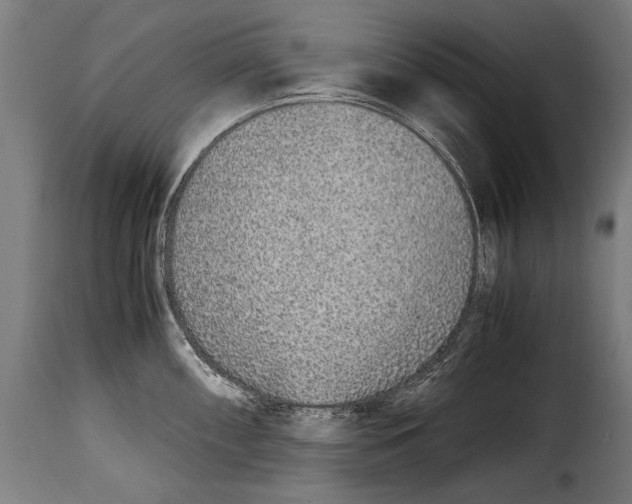 X0000115021098200911231244