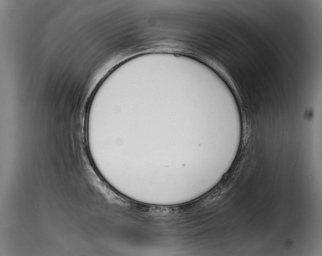 X0000115021099200911231244