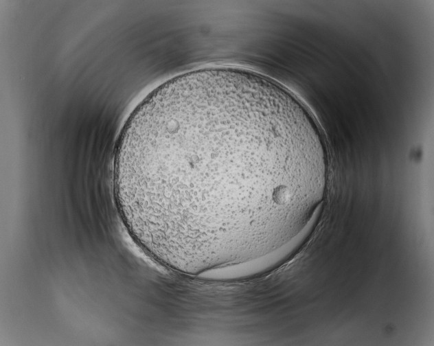 X0000115021100200911231244