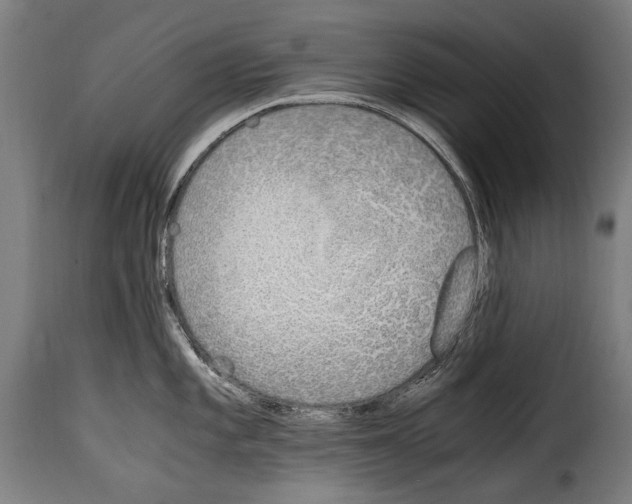 X0000115021101200911231244