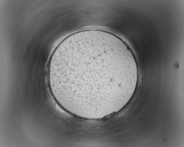 X0000115021102200911231244