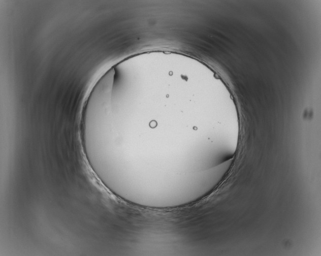 X0000115021104200911231244