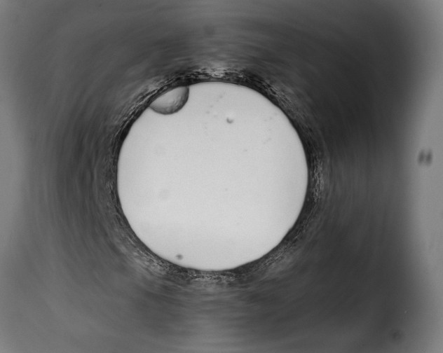 X0000115021105200911231244