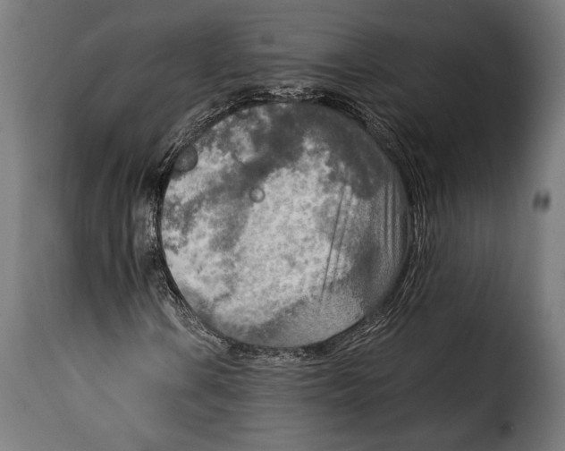 X0000115021106200911231244