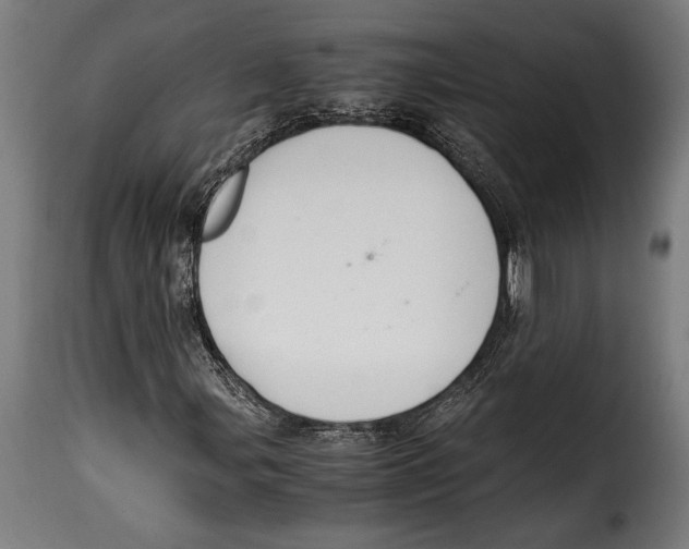 X0000115021107200911231244