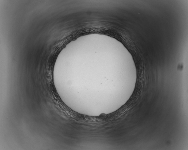 X0000115021109200911231244