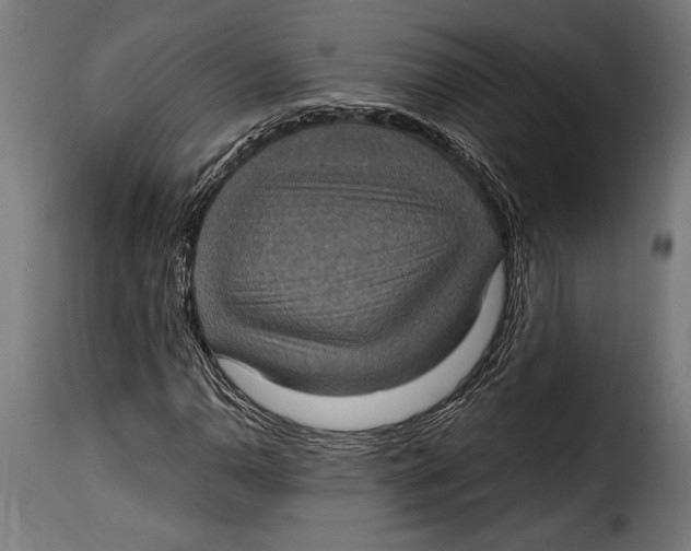 X0000115021110200911231244