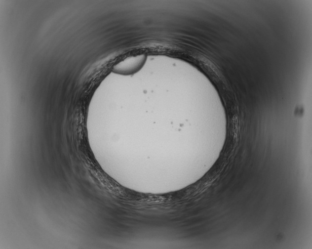 X0000115021111200911231244