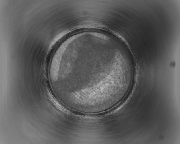 X0000115021114200911231244