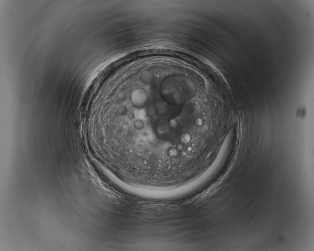 X0000115021117200911231244