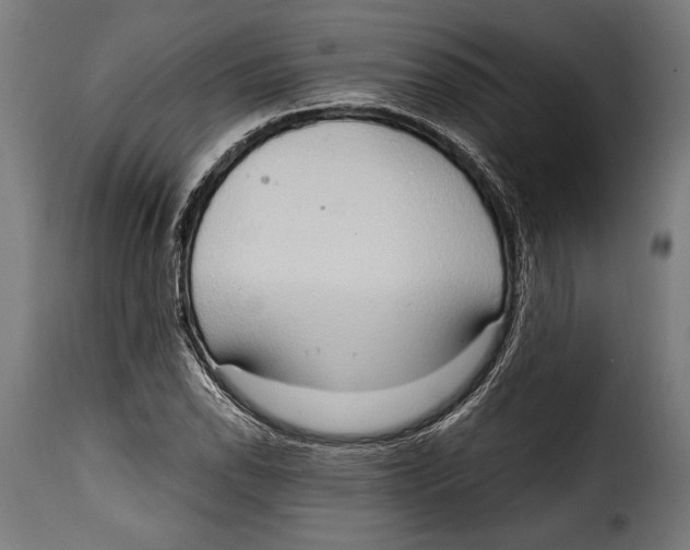 X0000115021118200911231244