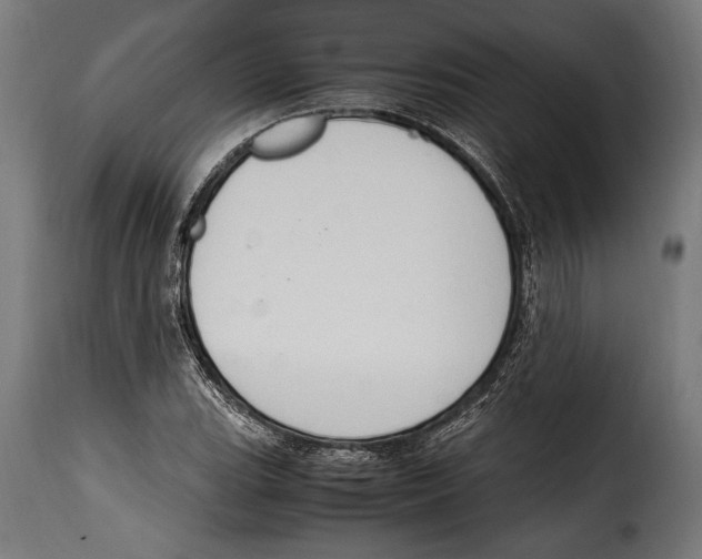 X0000115021119200911231244