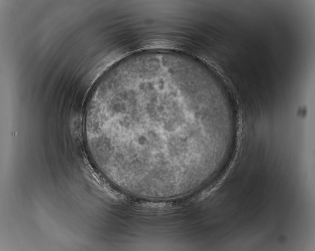 X0000115021121200911231244