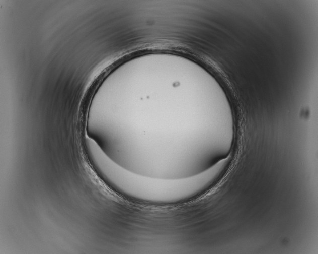 X0000115021122200911231244