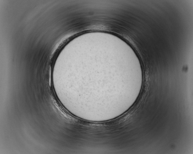 X0000115021123200911231244