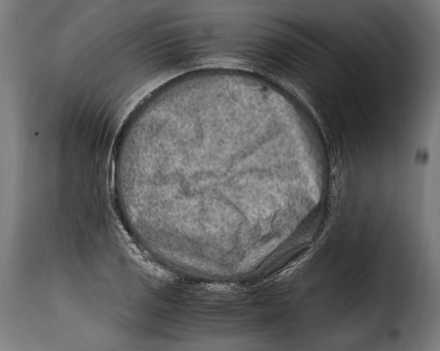 X0000115021125200911231244