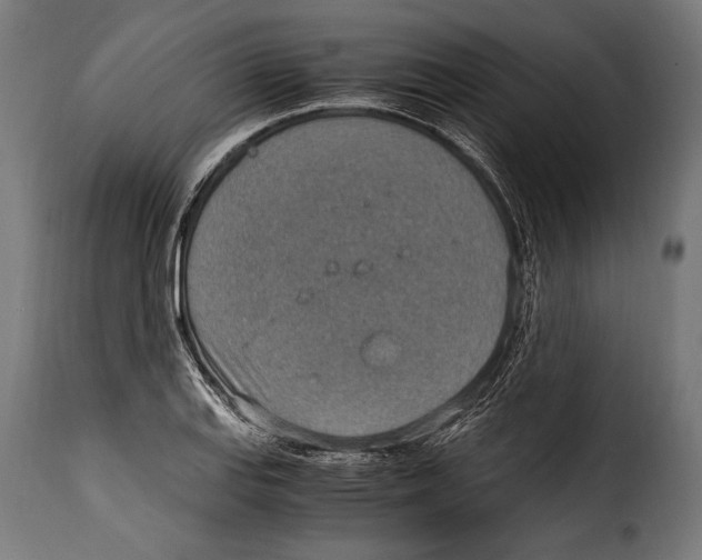 X0000115021127200911231244