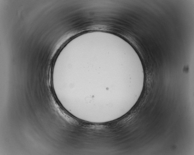 X0000115021131200911231244