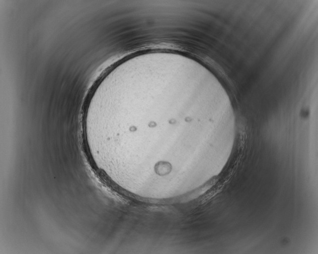 X0000115021133200911231244