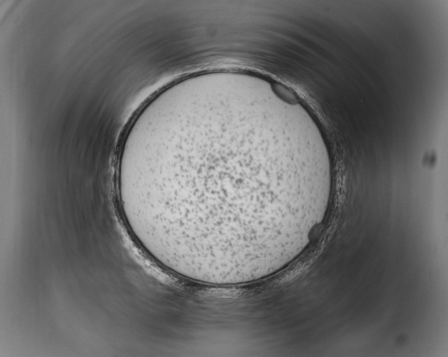 X0000115021134200911231244