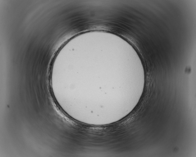 X0000115021135200911231244