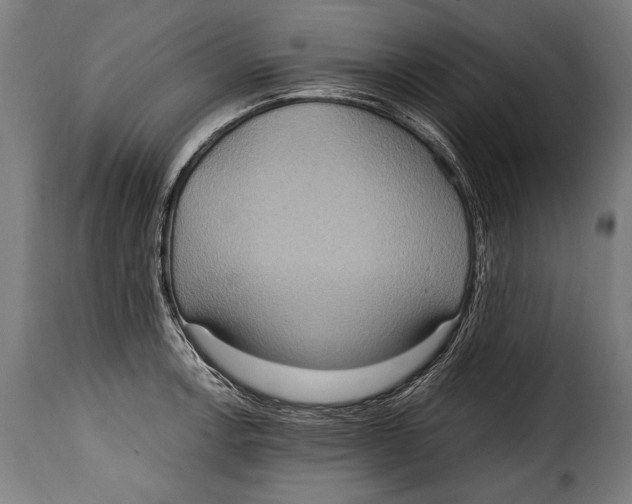 X0000115021138200911231244