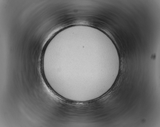 X0000115021139200911231244